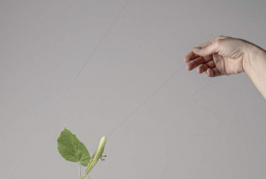 sorry, minified image is missing, click to see the bigger version