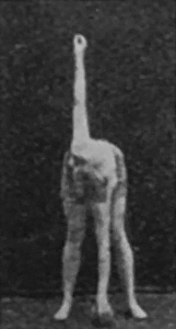 sorry, minified image is missing, click to see the bigger version