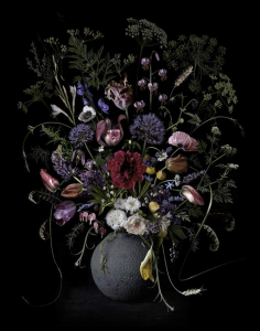 sorry, minified image is missing, click to see the bigger version