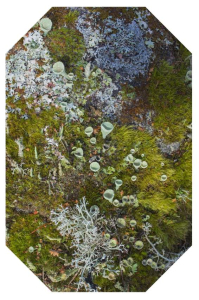 sorry, minified image is missing, click to see the bigger version