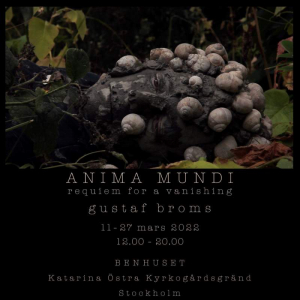 sorry, minified image is missing, click to see the bigger version