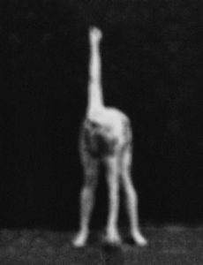 sorry, minified image is missing, click to see the bigger version