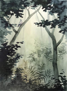 sorry, minified image is missing, click to see the bigger version