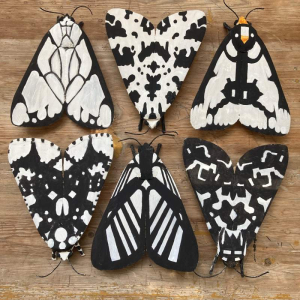 sorry, minified image is missing, click to see the bigger version