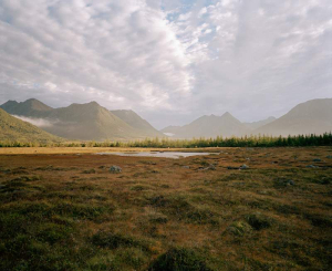 sorry, minified image is missing, click to see the bigger version