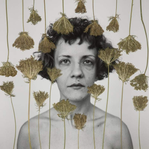 sorry, minified image is missing, click to see the bigger version