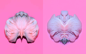 sorry, minified image is missing, click to see the bigger version