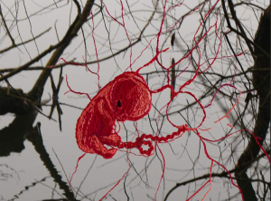 sorry, minified image is missing, click to see the bigger version