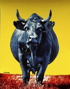 sorry, minified image is missing, click to see the bigger version