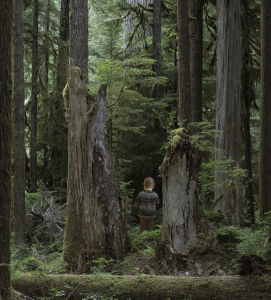 sorry, minified image is missing, click to see the bigger version