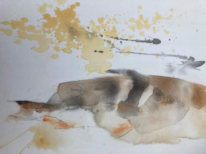 sorry, minified image is missing, click to see the bigger version