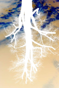 sorry, minified image is missing, click to see the bigger version