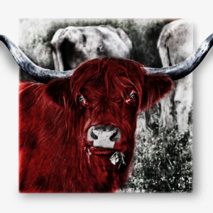 sorry, minified image is missing, click to see the bigger version