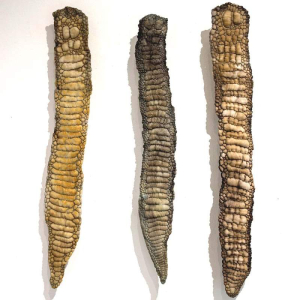 sorry, minified image is missing, click to see the bigger version