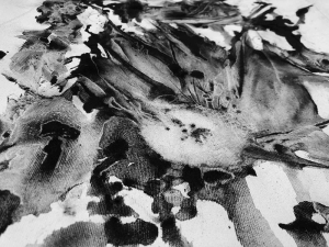 sorry, minified image is missing, click to see the bigger version