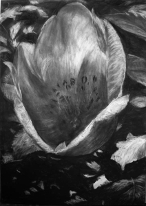 sorry, minified image is missing, click to see the bigger version