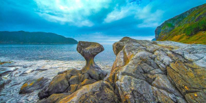 sorry, minified image is missing, click to see the bigger version