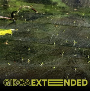 sorry, minified image is missing, click to see the bigger version