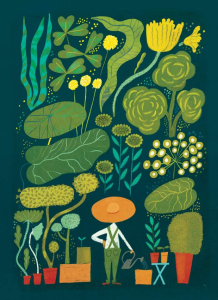 sorry, minified image is missing, click to see the bigger version