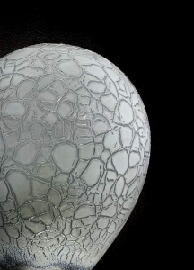 sorry, minified image is missing, click to see the bigger version