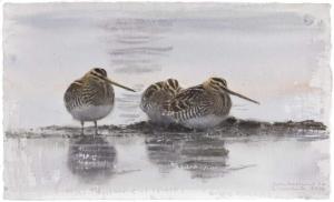 sorry, minified image is missing, click to see the bigger version