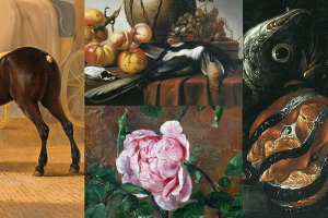 sorry, minified image is missing, click to see the bigger version