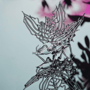 sorry, minified image is missing, click to see the bigger version