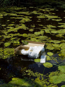 sorry, minified image is missing, click to see the bigger version