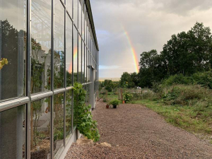 <span class='bild_text'>©  </span>