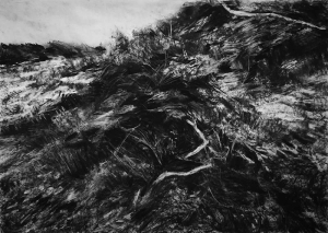 sorry, minified image is missing, click to see the bigger version