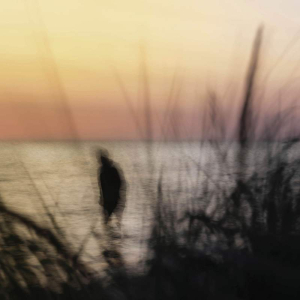 sorry, minified image is missing, click to see the bigger version