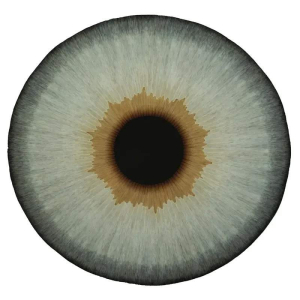 sorry, minified image is missing, click to see the bigger version