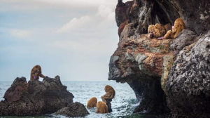 sorry, minified image is missing, click to see the bigger version