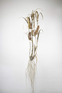 sorry, minified image is missing, click to see the bigger version