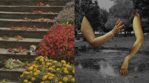 sorry, minified image is missing, click to see the bigger version